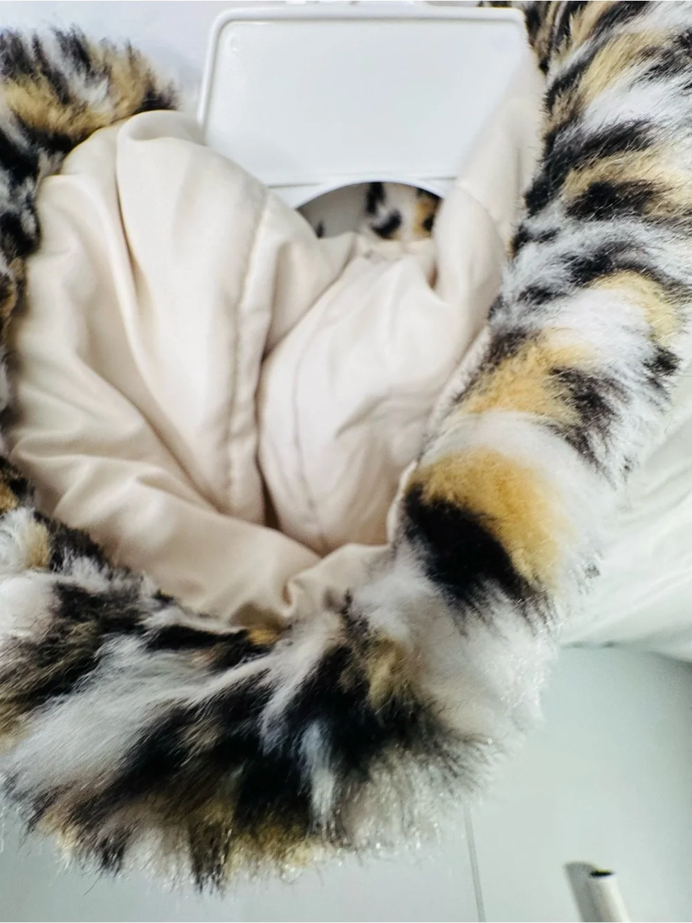 Rothschild Cream Faux Fur Jacket with Leopard Trim